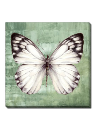 Green Butterfly Art Set