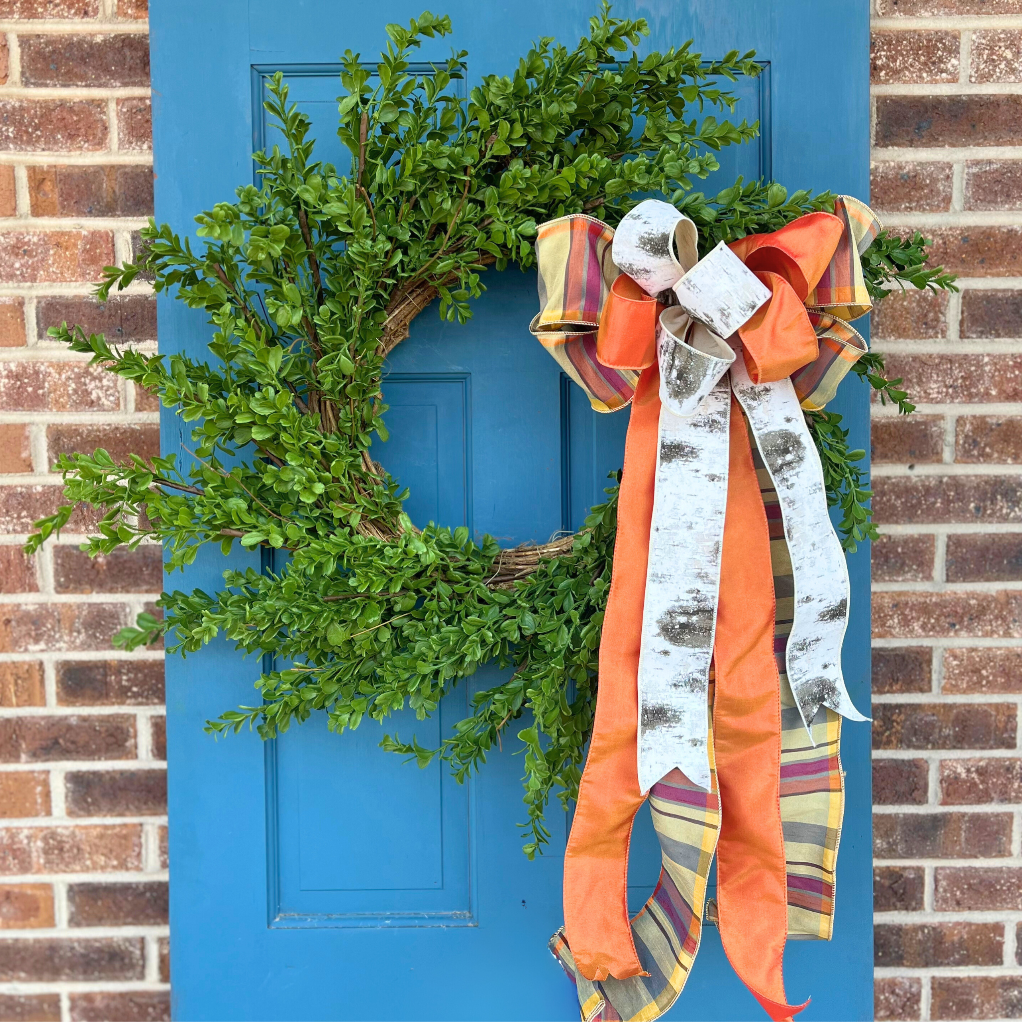 Boxwood Wreath, 22 Inches, Mardel