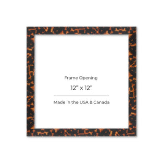 12x12 Tortoise Shell Frame