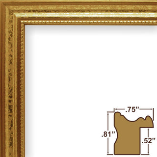 11x14 Frame Gold
