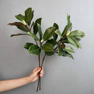 27.5"  Magnolia Leaves Stem