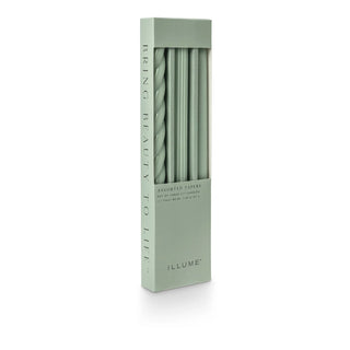 Asst Candle Taper S/3 Sage