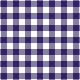 Purple White Gingham Champagne Wrap