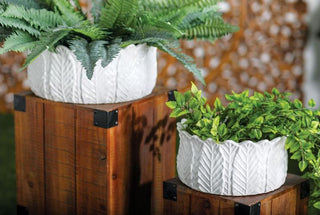 White Ceramic Planter 3 Sizes