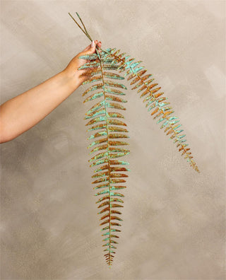 Fern Branch