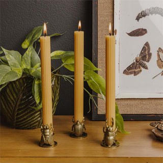 Bug Taper Candle Holder