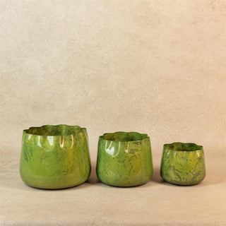 Verdant Scallop Planter