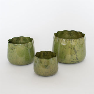 Verdant Scallop Planter