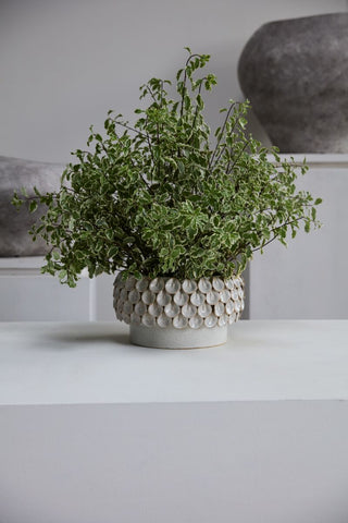 Mirabal Bowl Large