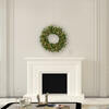 30" Cashmere Lighted Wreath