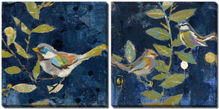 Midnight Songbirds 16"