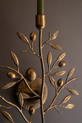 Fruit Tree Taper Sconce