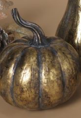 Harvest Pumpkins Gold