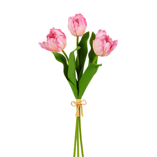 Pink Tulip Bundle