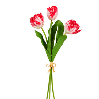 Red Tulip Bundle