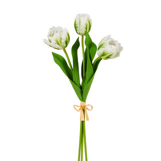 White Tulip Bundle