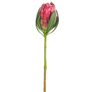 PROTEA BUD SPRAY BT