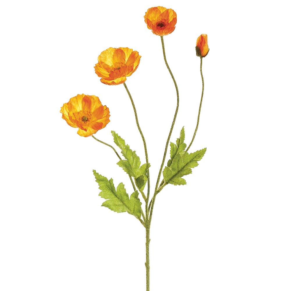 Poppy Spray Orange – Madison & Co.