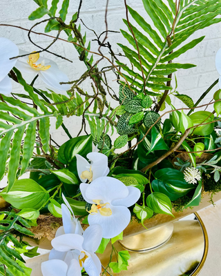 White Orchid Footed Arrangement