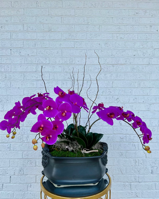Grand Orchid Cache Arrangement