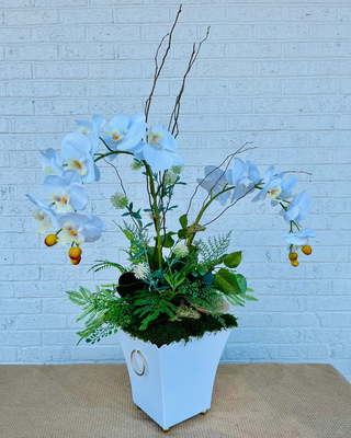 Orchid & Thistle Grand Arrangement