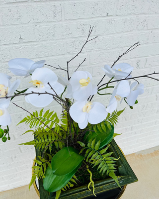 Bamboo Orchid Arrangement