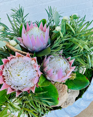 Pink Queen Protea Caliza Arrangement