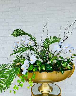 White Orchid Footed Arrangement