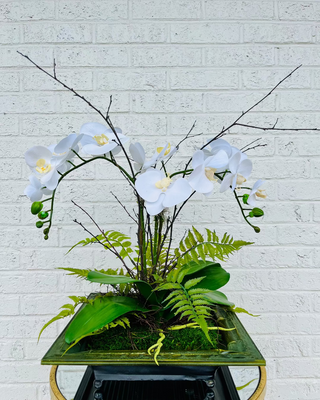 Bamboo Orchid Arrangement