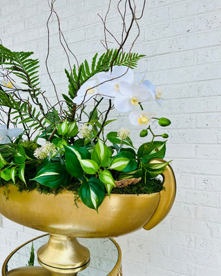 White Orchid Footed Arrangement