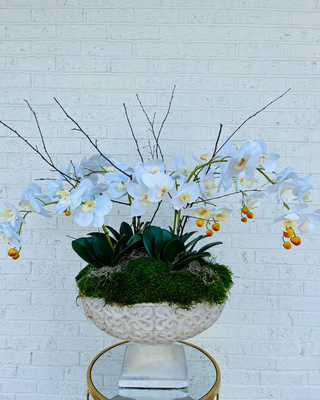 Serene Statement Orchid Arrangement