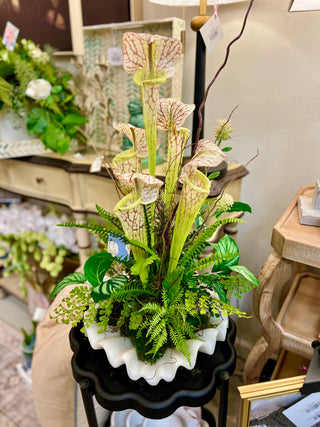 Pitcher Plant Preserve Arrangement