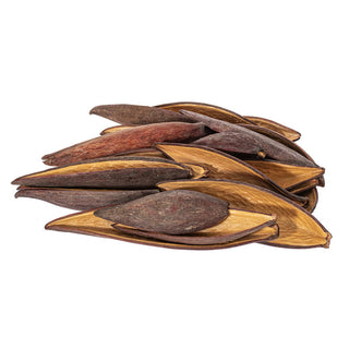 Natural Canoinha Pod 24 Bag