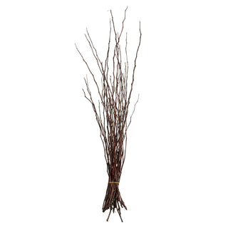 Brown Moneta Branches Bundle