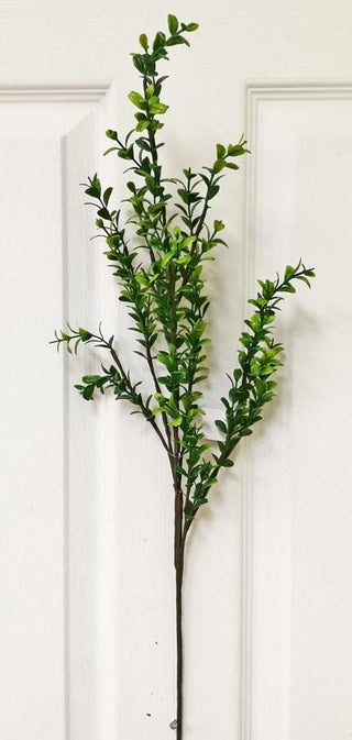 Boxwood Spray