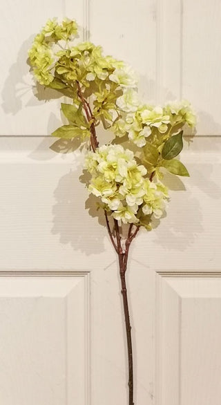 Green Cherry Blossom