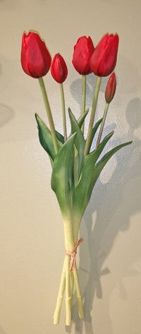 Red Tulip Bundle