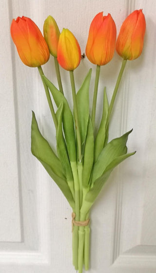 Orange Tulip Bundle