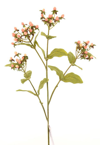 Pink Poplar Berry Spray