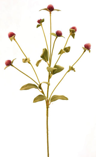29" Hot Pink Gomphrena Globosa