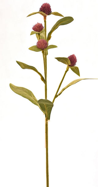 18" Purple Gomphrena Globosa
