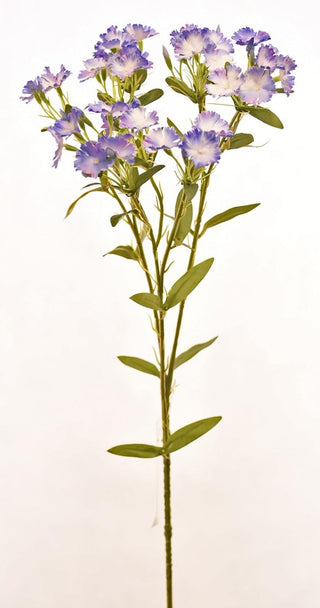 29" Blue Carnation