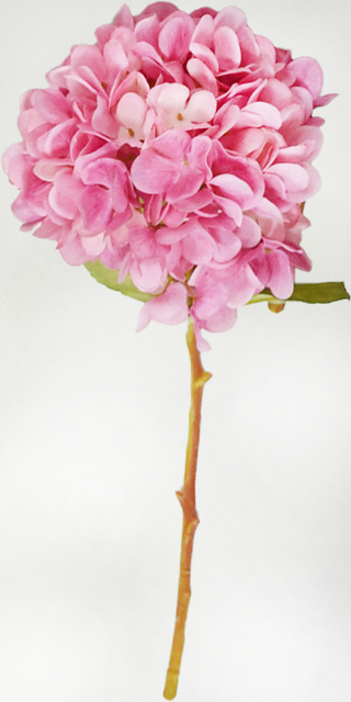 Hot Pink Hydrangea Spray