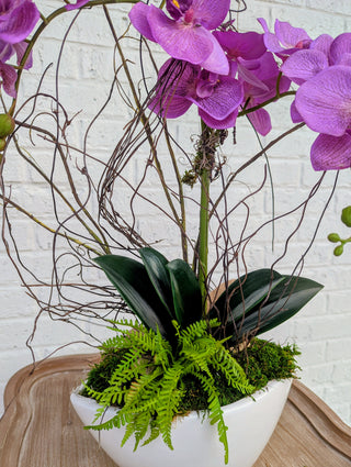 Violet Crush Orchid Arrangement