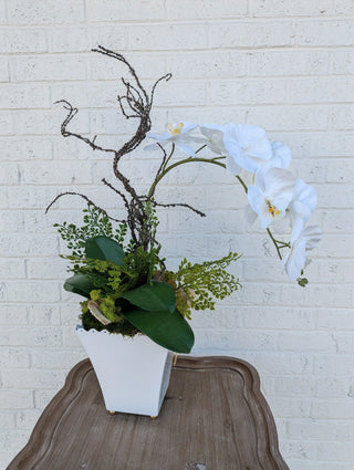 Twig and Orchid Arrangement