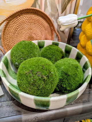 4" Moss Ball