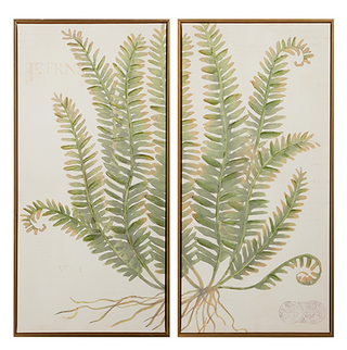 Fern Framed Diptych