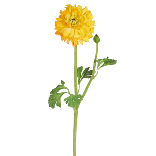 Yellow Ranunculus Spray