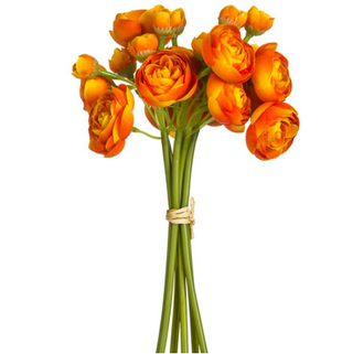 Orange Ranunculus Bundle