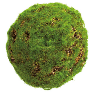 4" Green Moss Orb